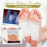 🧽✨ Parche Desintoxicación Kinoki🌙💤