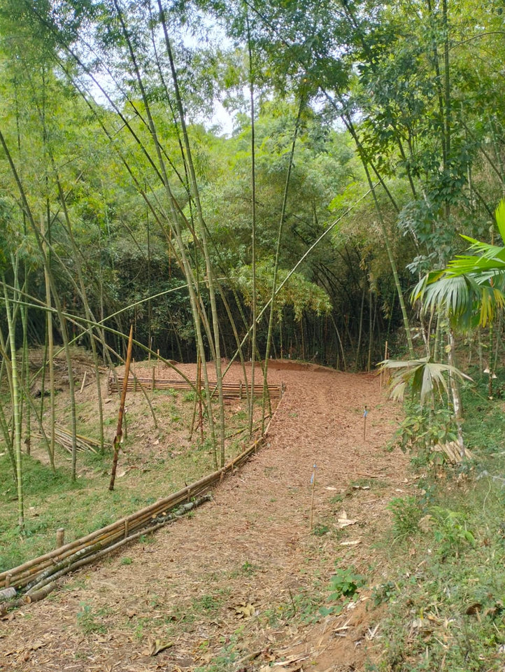 🌿 Terreno en Venta - Rincón de Paraíso, La Buitrera (Chontaduro Parte Alta) 🌿
