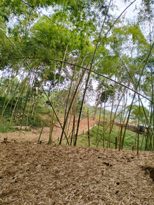 🌿 Terreno en Venta - Rincón de Paraíso, La Buitrera (Chontaduro Parte Alta) 🌿