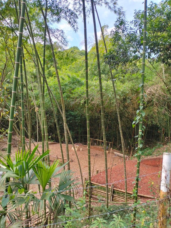 🌿 Terreno en Venta - Rincón Paraíso, La Buitrera (Chontaduro Parte Alta) 🌿