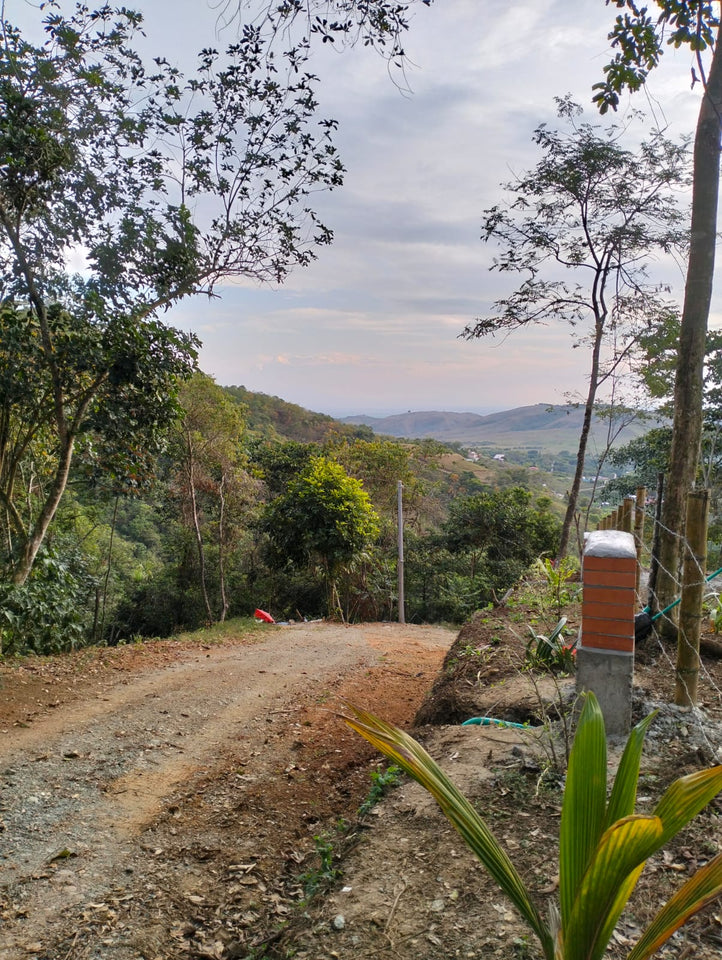 🌿 Terreno en Venta - Rincón Paraíso, La Buitrera (Chontaduro Parte Alta) 🌿