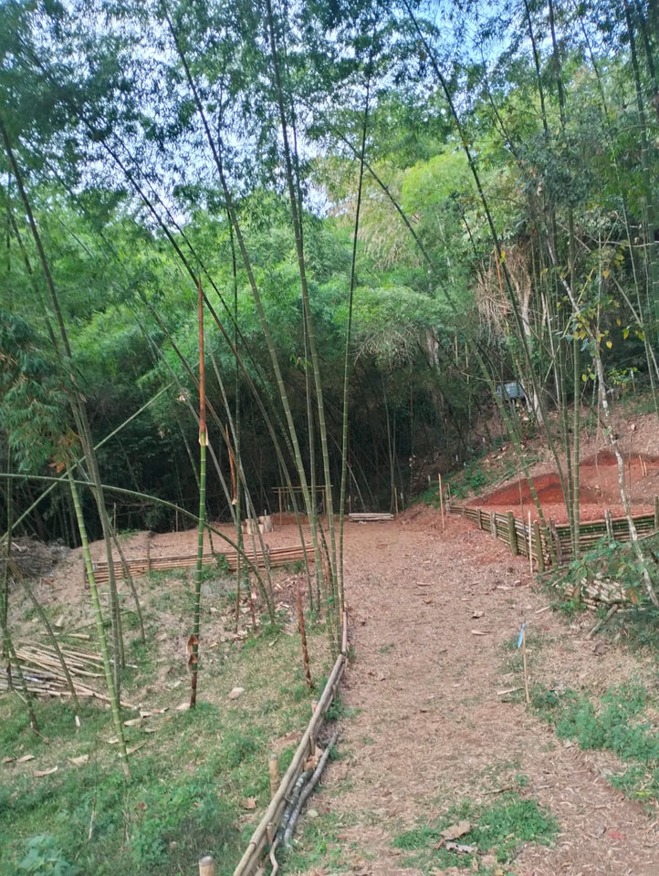 🌿 Terreno en Venta - Rincón Paraíso, La Buitrera (Chontaduro Parte Alta) 🌿