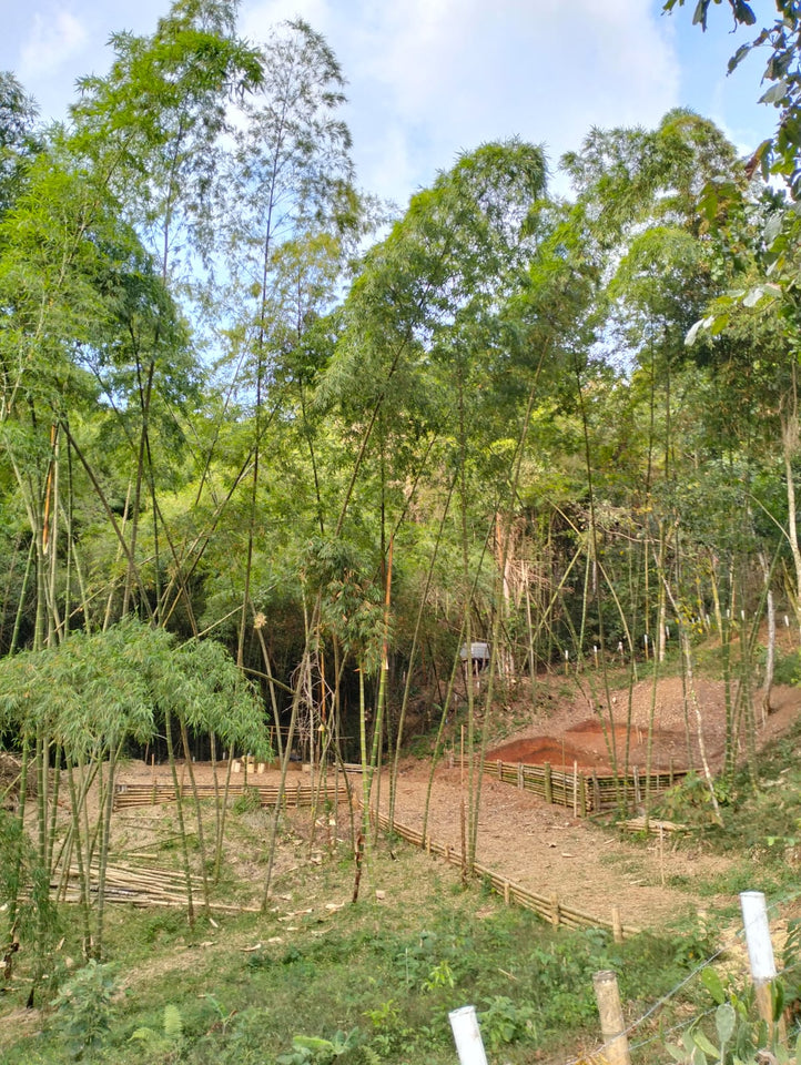 🌿 Terreno en Venta - Rincón Paraíso, La Buitrera (Chontaduro Parte Alta) 🌿